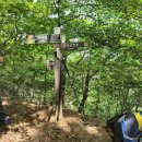 합천호농협대병지점 | 2024.06.16. 경남 거창군 가조면 미녀봉 산행