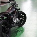 데이스타 이미지