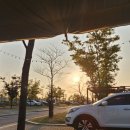 주말보다 좋았던 평일 캠핑! 노을진캠핑장 4인용 카라반 106번 후기