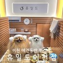 신동목욕탕 | 경기도 이천 애견카페 부럽지 않은 휴일도 애견동반 찜질방 후기