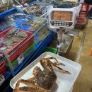 금학식당 | 노량진맛집 의리대게 금학식당 대게 가리비 직접 골라 먹는 후기