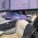럽히 이미지
