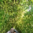 달림농장 이미지