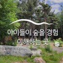 솔바람 유아숲체험원 이미지