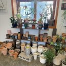 느린토끼 | 강동 식물샵 느린토끼 방문 후기 | 식물 좋아하면 꼭 가보세요 🌿