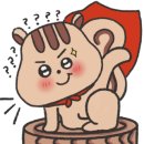 시크릿무인텔 이미지
