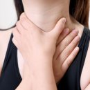 용각산 효능 총정리:가수·교사·유튜버가 쟁여두는 이유