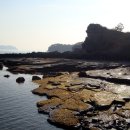 고성자연사박물관 이미지