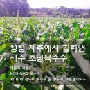토브농장