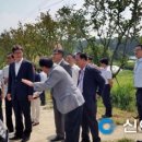 산수유권역 이미지