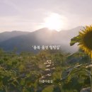 (주)속리산 관광개발 이미지