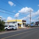 빗소리 | 제주 동쪽 맛집 혼밥도 가능한 김녕빗소리 내돈내산 후기
