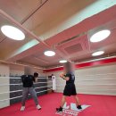 W복싱 | 운동 진짜 제대로 하고 싶다면… 저는 지금 '대치동복싱 W복싱' 다니고 있습니다