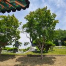 구 왜관터널 이미지