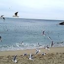 거리커피 - 사하구 장림동 | 거리커피