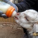 (주)한양사료 이미지