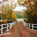 경승목장 이미지