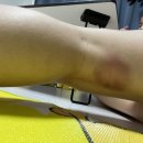 폴아트스튜디오