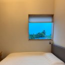 선흘별숲 이미지