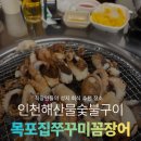 원창로 | 인천 가정동맛집 쭈꾸미구이 목포집쭈꾸미꼼장어 방문 후기