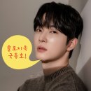 회계법인나무 네이버블로그