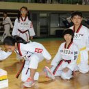 화랑 태권도 체육관 이미지