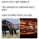 씨유대치본점 | 2022_1114~1120