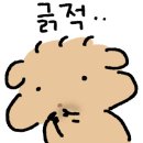 우드사운드음악학원