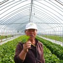 [월간 친환경] [50호특집] 친환경 대표농가 50인의 성공이야기(3) 채소는 기능성이다! 이미지