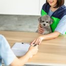 포인핸드 건강검진센터 이미지