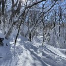 한라산약국 이미지