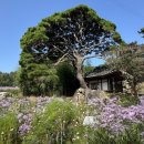 병암농원옆 이미지