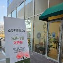 소담플로라 | 양산꽃집 꽃다발, 식물 소담플로라 내돈내산