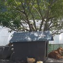 부산농원민박 이미지