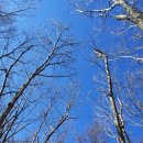 대덕천 | 북진 건의령에서 구부시령까지