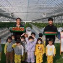 강현농장 이미지