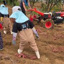 맥시멈 태권도 이미지