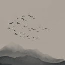 효과 있는 유용한 주파수 백색소음 원리 &amp; 암 치료제 이미지