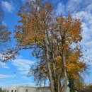 여행스케치민박 | 파사우 베스테 오버하우스와 전망대 일츠강 전경