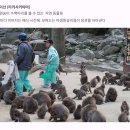 몽키