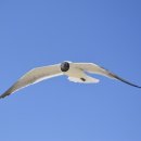 남원효사랑요양병원 이미지