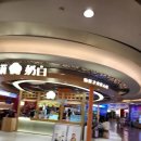 갤러리타운 | fashion town hotel shenzhen mgallery collection 패션타운 호텔 심천 엠갤러리 콜렉션 내돈내산 후기