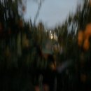 스테이더크로스 이미지