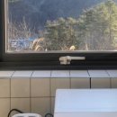 삼동 스테이 이미지