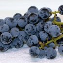 보령농장 이미지