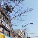 동신한의원 이미지