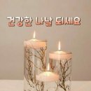 건강한날 Daum카페