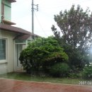 해풍민박 이미지