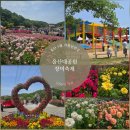 울산대공원 장미축제 후기 주차꿀팁 입장료 동물원까지