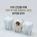 세종플란트 치과의원 이미지